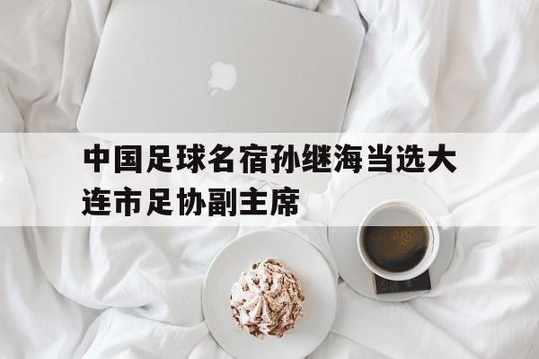 中国足球名宿孙继海当选大连市足协副主席的简单介绍